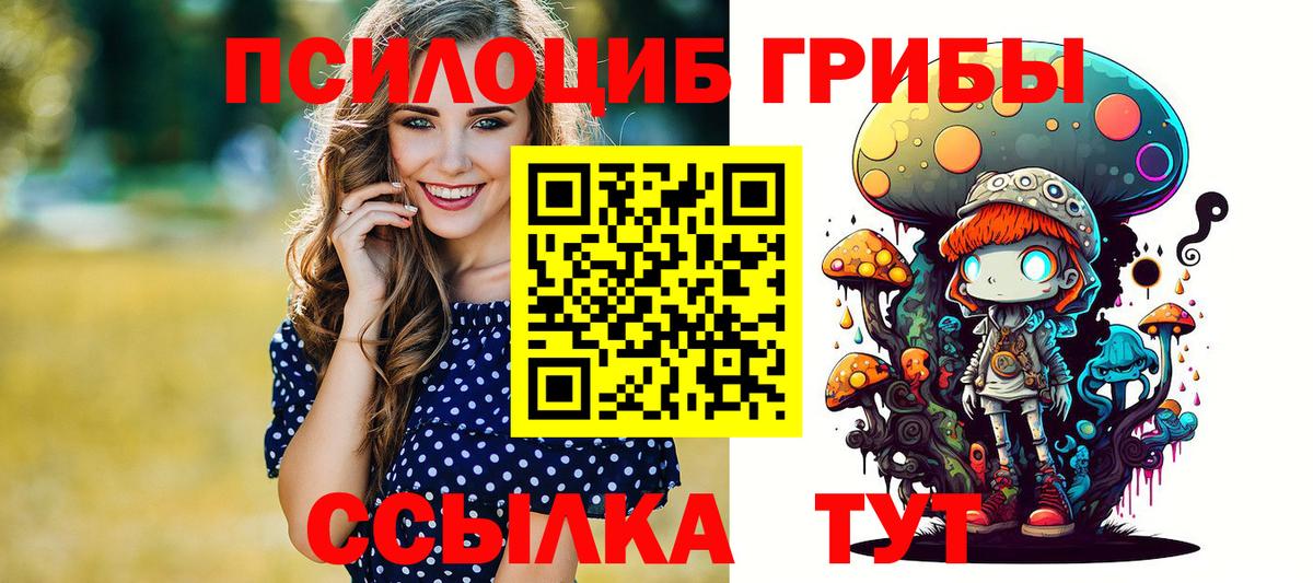 Псилоцибиновые грибы Psilocybine cubensis  Галлюциногенные грибы Psilocybe  Великий Устюг  Вход с VPN 
